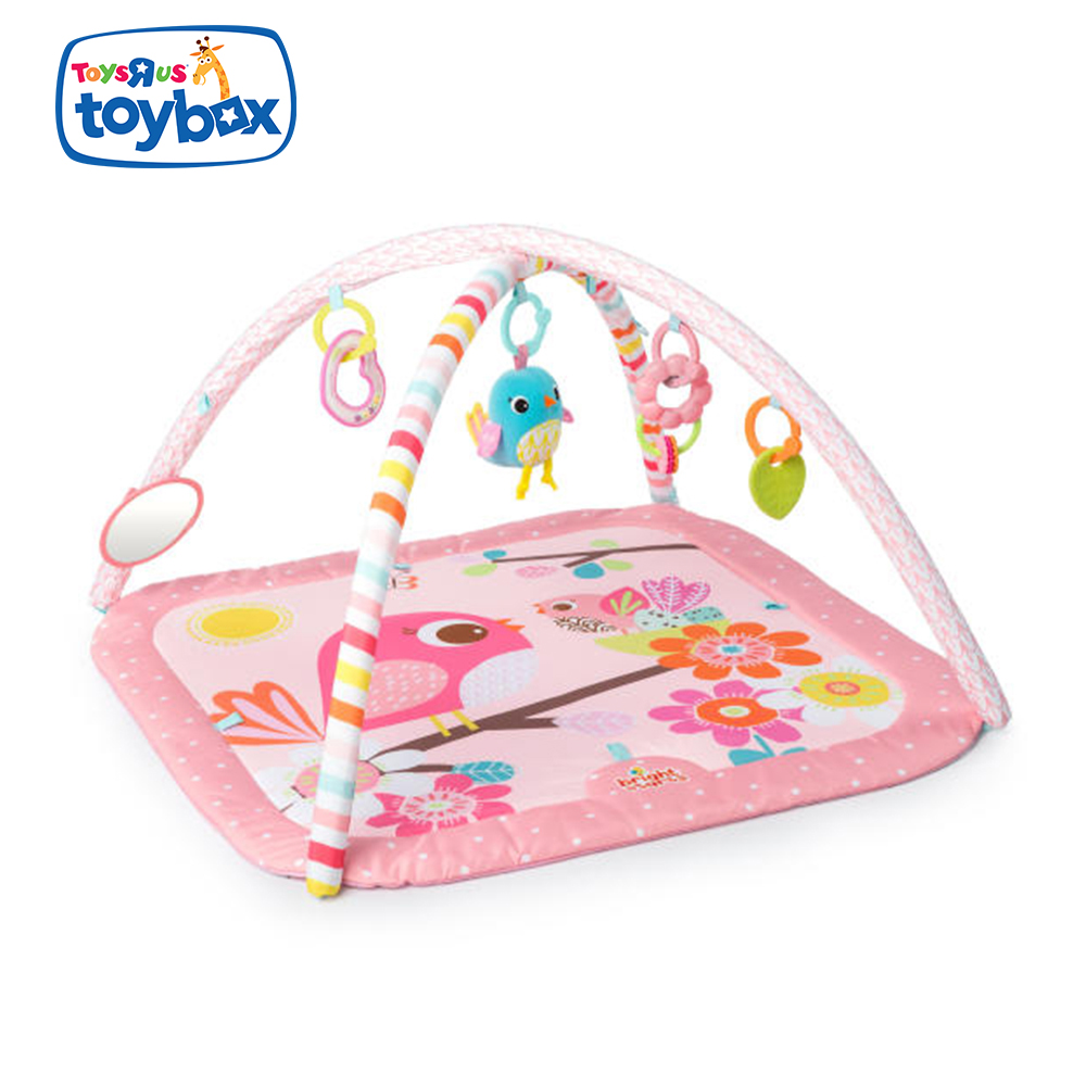 bright starts activity gym