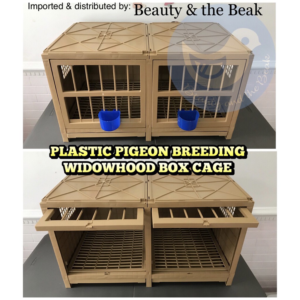 Premium Plastic Pigeon Breeding Widowhood Box Cage ON HAND READY TO