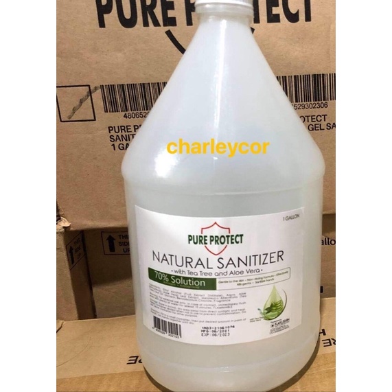 ETHYL ALCOHOL PURE PROTECT 70 SOLUTION Lazada PH