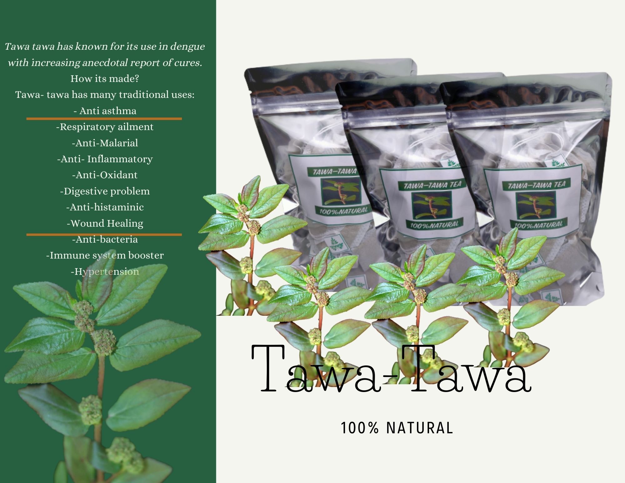 Tawa Tawa Traditional Herbal Tea 20 pcs 100 Pure Lazada PH