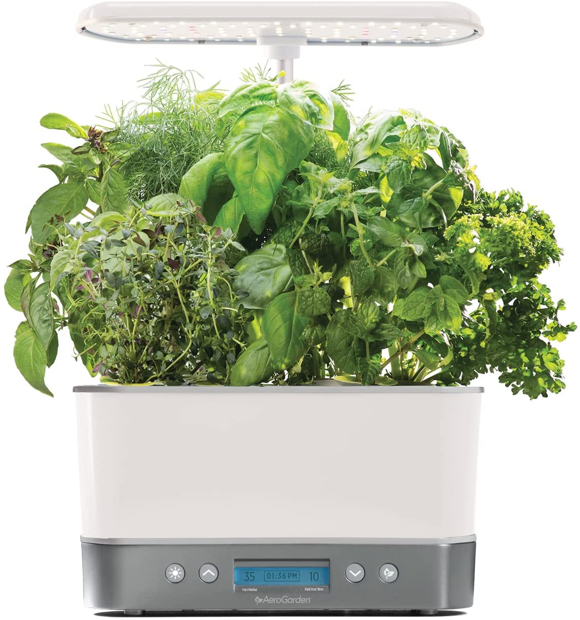 AeroGarden Harvest Elite. Indoor Garden. Self Irrigation and