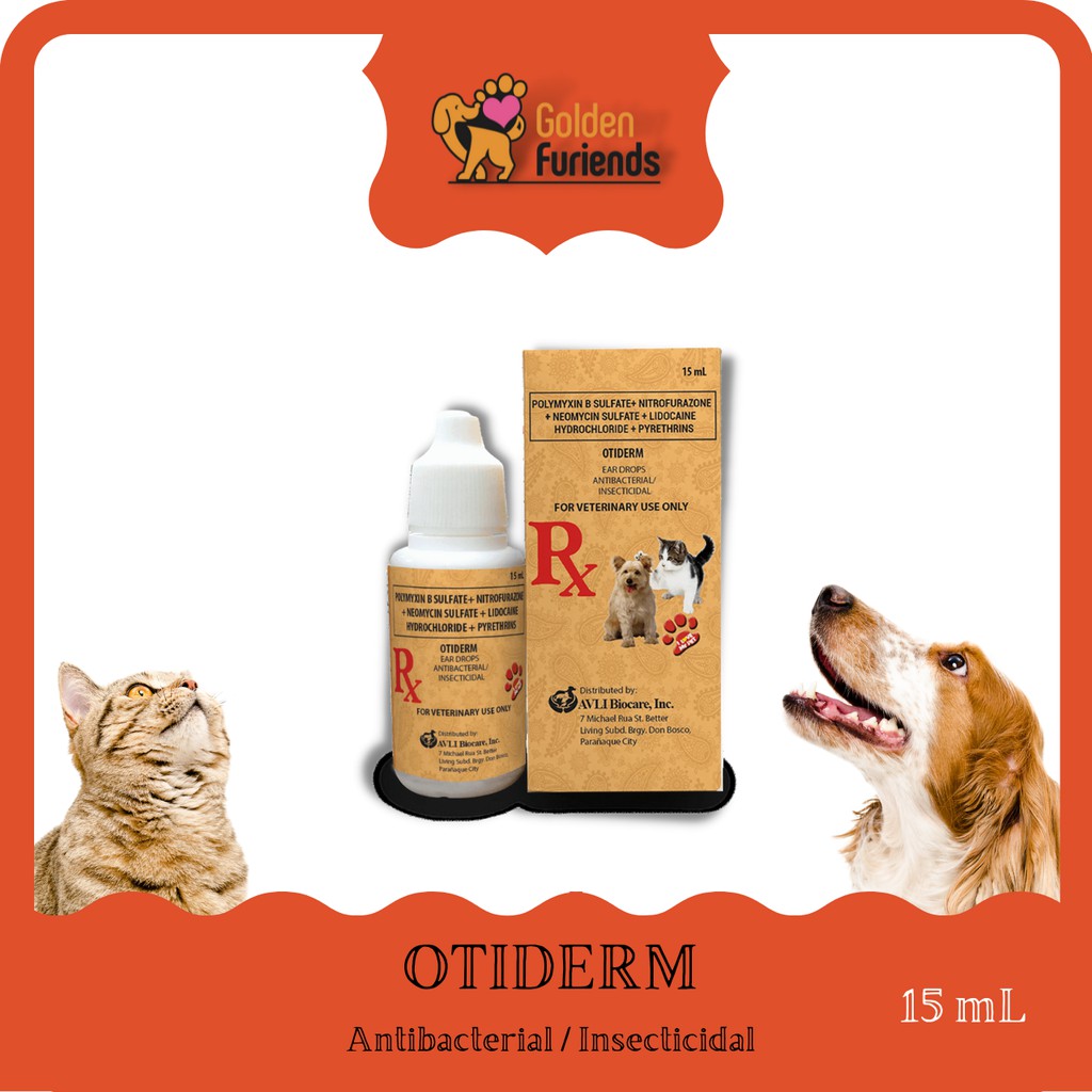 Otiderm Ear Drops Antibacterial Insecticidal 15mL Lazada PH