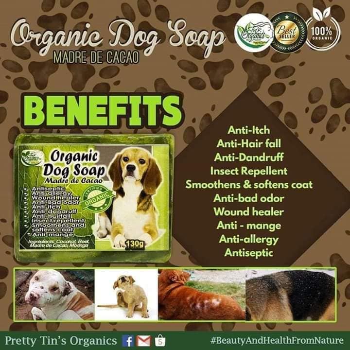 磊 Top 10 Best Dog's Anti Itch Shampoos of 2024