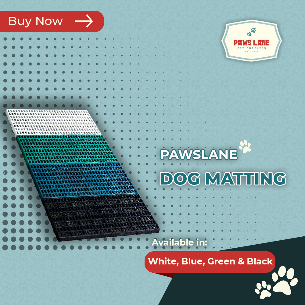 Dog Matting Lazada PH Buy sell online Mats with cheap price Lazada PH