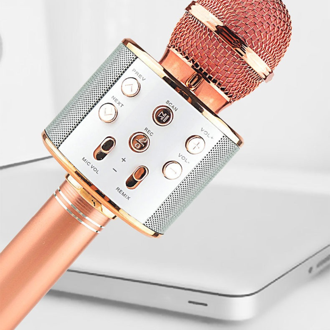 Cylen Wireless Bluetooth Microphone Karaoke Speaker Microphone For