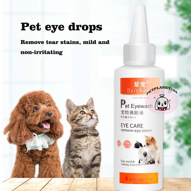 Cat eye drops remove tear marks shed tears redness and swelling of the ...