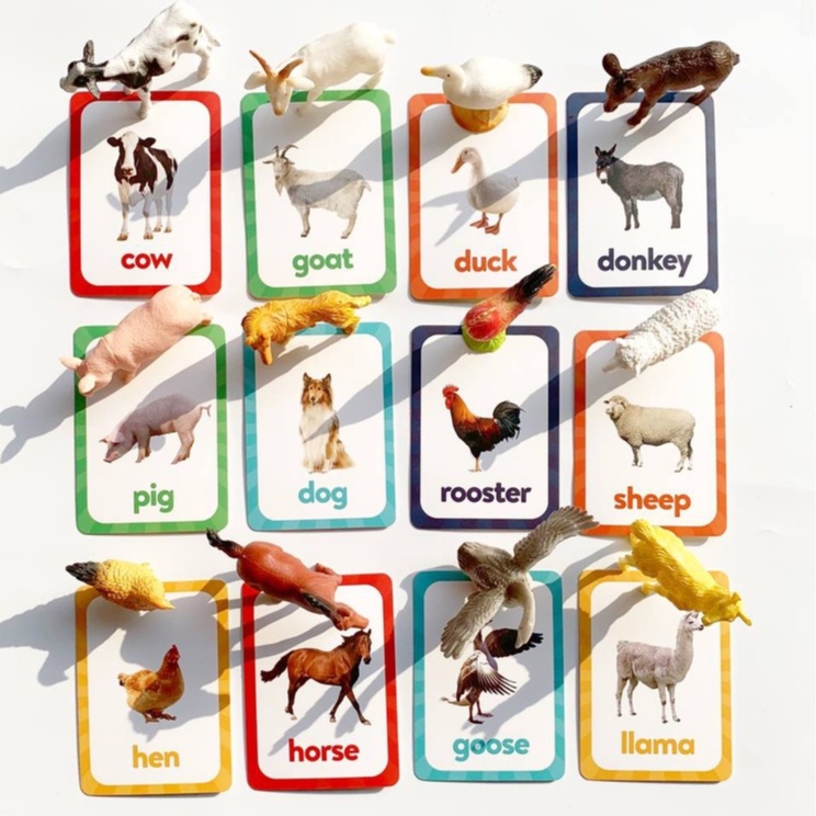 Bollie Baby Miniature Animals Match Cards (Flash Card Educational  Montessori Toy) | Lazada PH