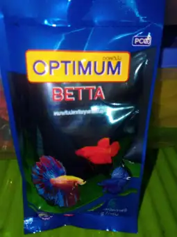 lazada betta fish