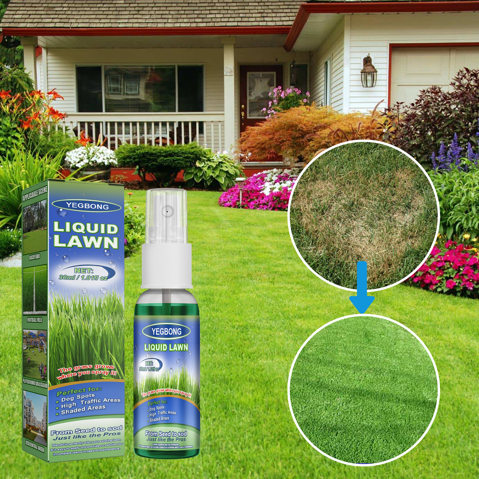 Household Seeding System Grass Spray Green Paint Lawn Food Liquid