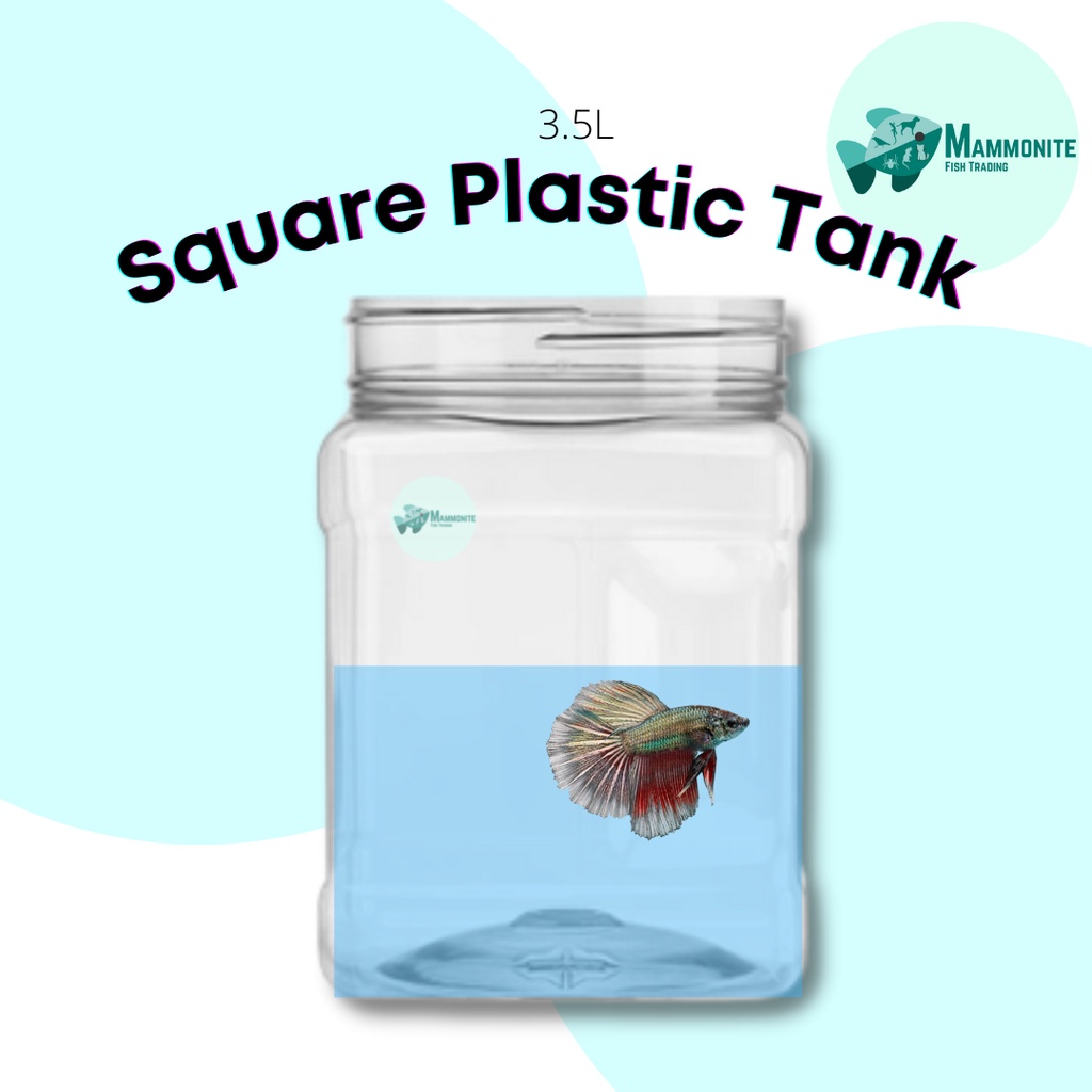 &!pAquarium Plastic Jar for Betta Fish Tank Container No Lid 3.5L