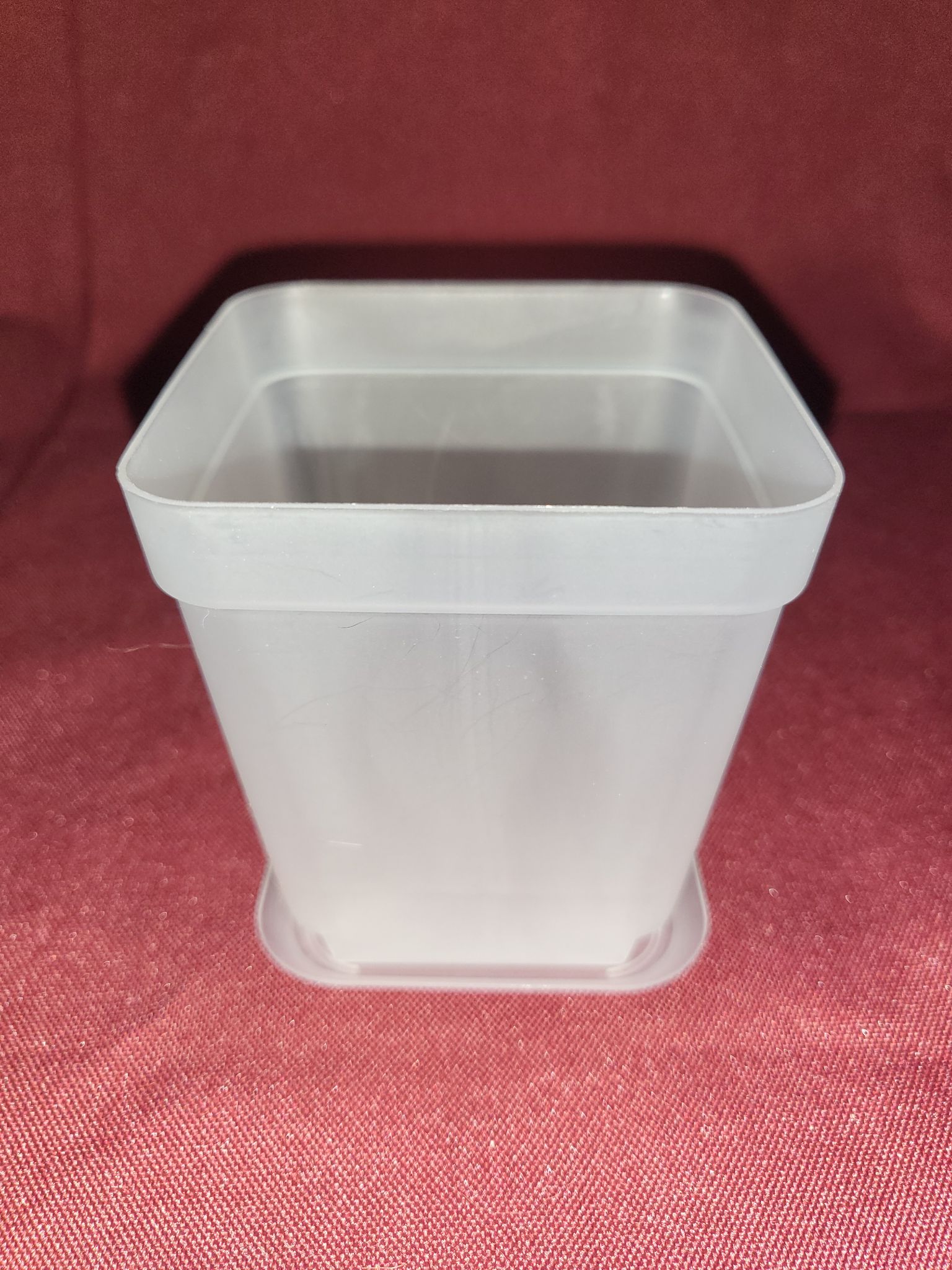 clear transparent seedling pot 7x7 / succulent & cactus pot / indoor