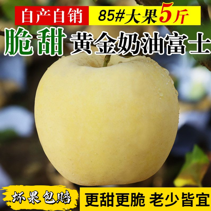 Buy Premium Yantai Fuji Apples (3 count)