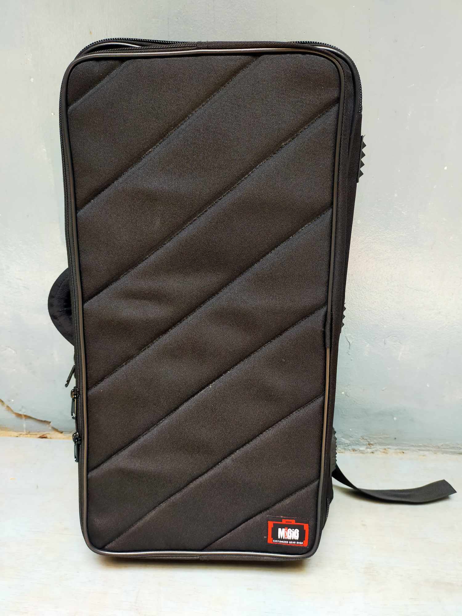 Guitar effects Gigbag for Boss GT10, GT100 & Line 6 POD HD500X