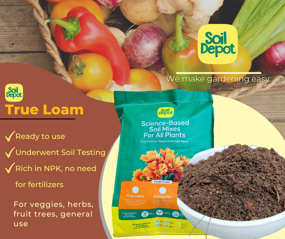 Soil Depot True Loam Soil 5 kg pack Lazada PH