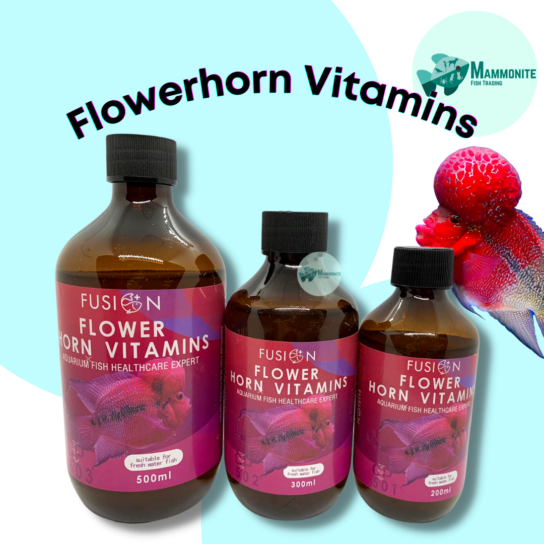 Aquarium Fish Fusion Flowerhorn Vitamins Digestion Growth Supplement