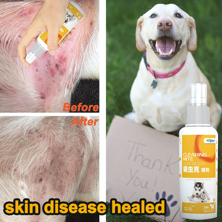 【Doctor wound spray Get fast results in 3 days dog