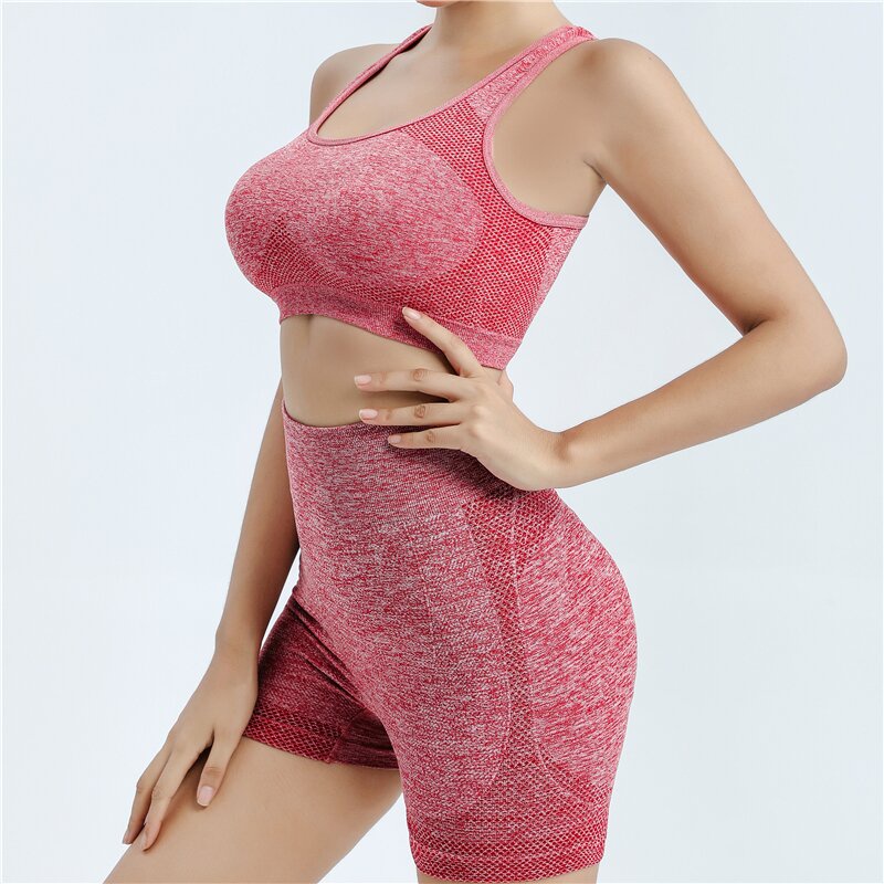 Sports Sets Sports Bras and high waist Shorts Yoga Running Fitness for  women 211