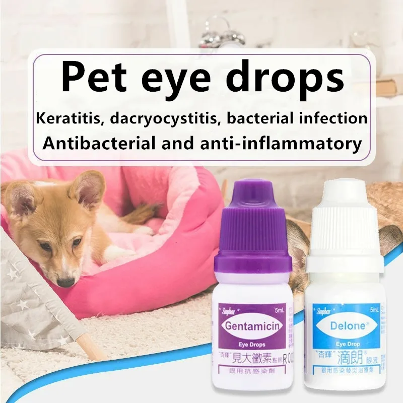 Conjunctivitis Eye Meds For Cats Bacterial Conjunctivitis Pink Eye