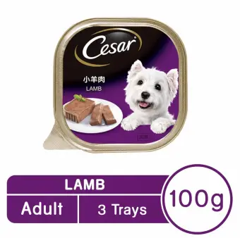 cesar gourmet dog food