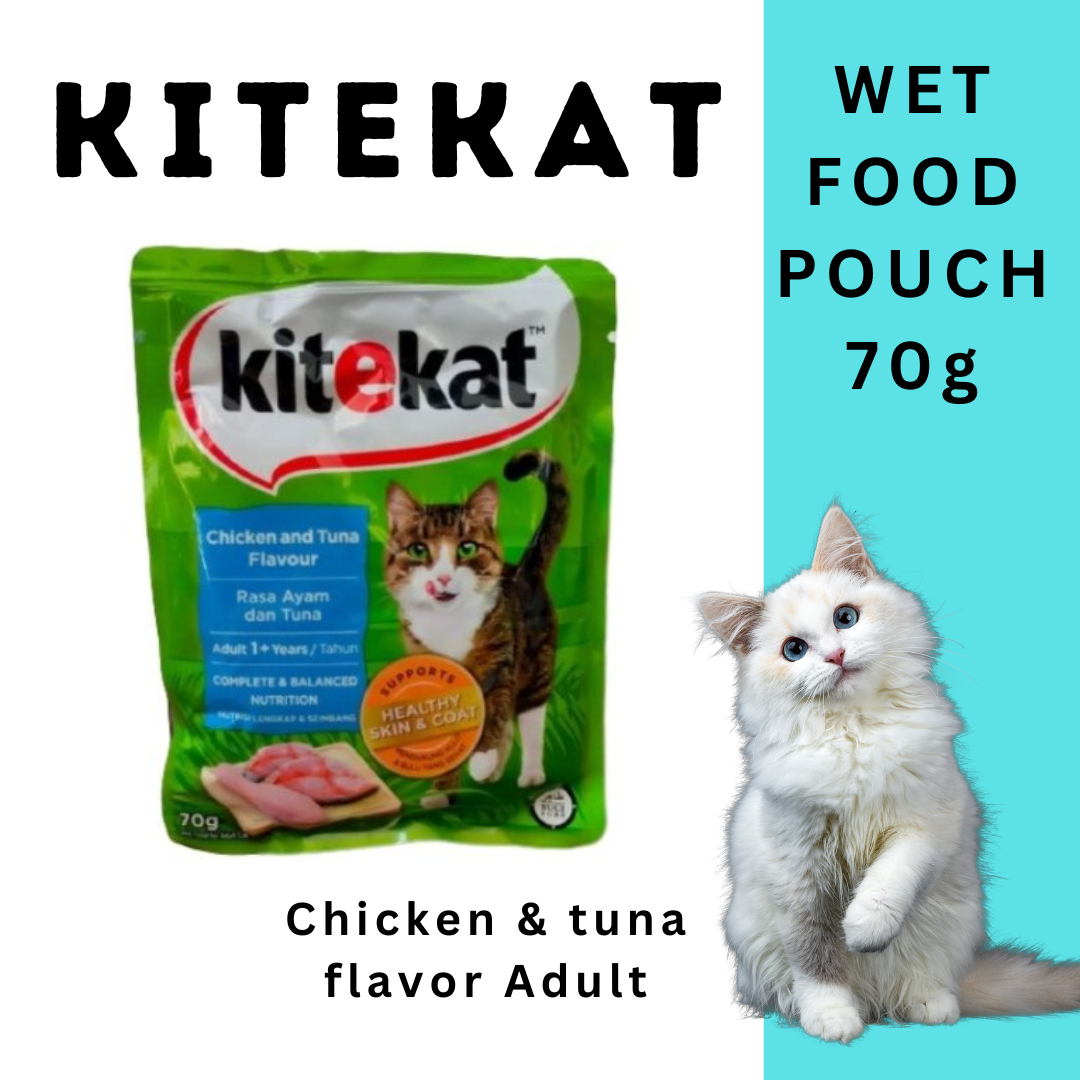 Kitekat wet cat food in pouch for adult and kitten 70grams Lazada PH