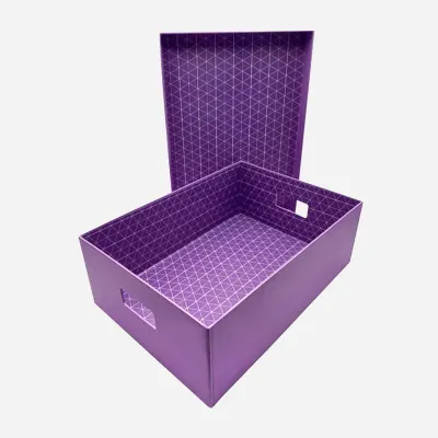 SM Stationery Geometric Document Box – Violet
