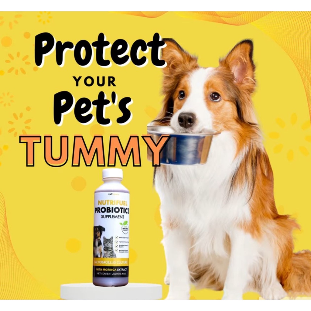 Vet Core+ Nutrifuel (Probiotic Supplement for Dogs and Cats) 250ml Pet