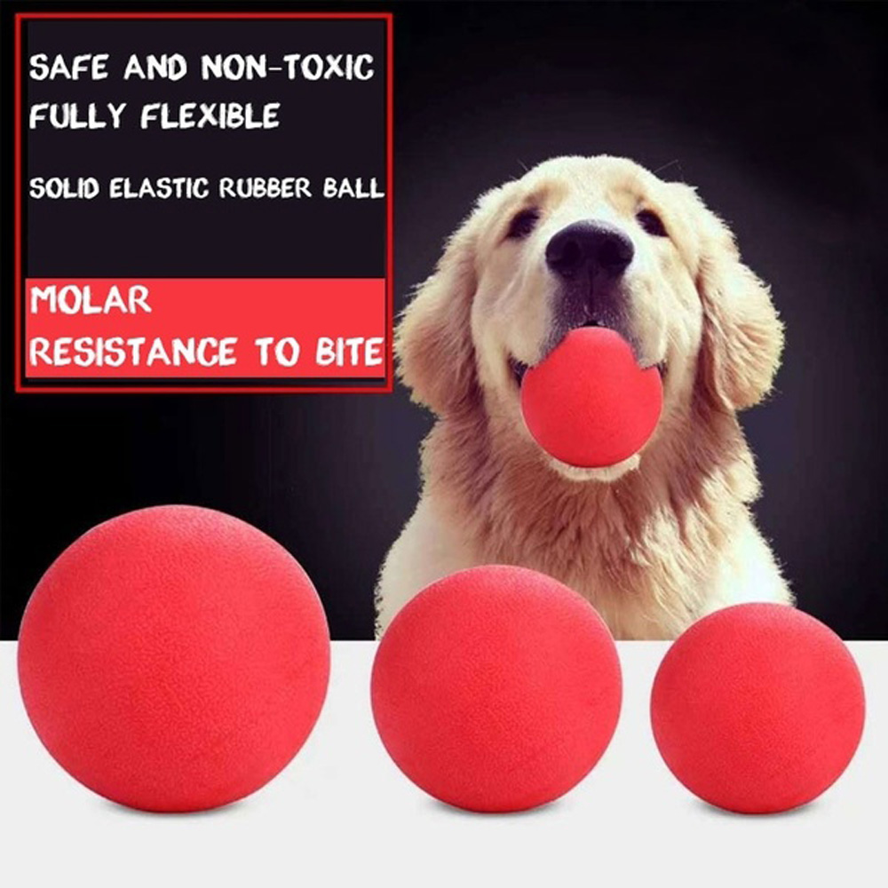 bouncing ball for dogs