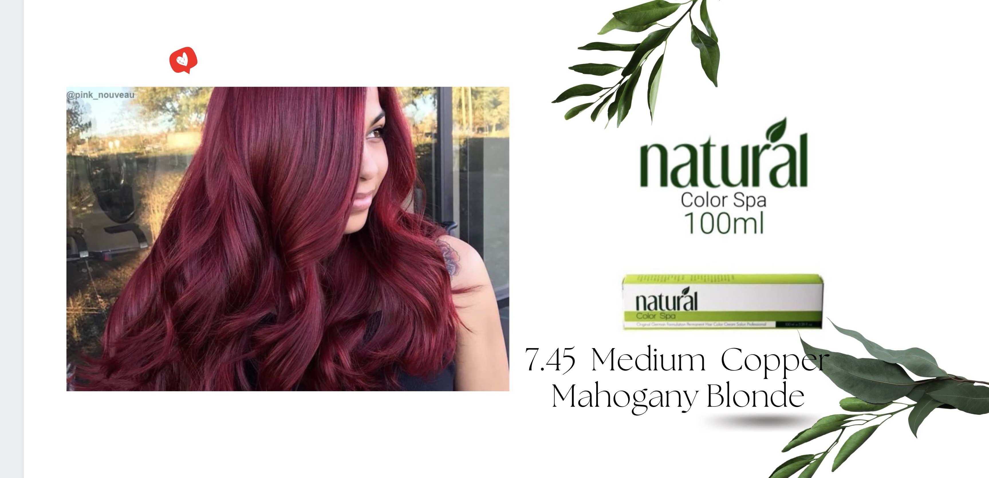 Mahogany - Non-Toxic & 100% Organic Hair Color – Radico USA