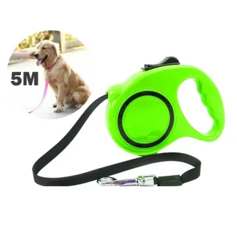 dog leash online