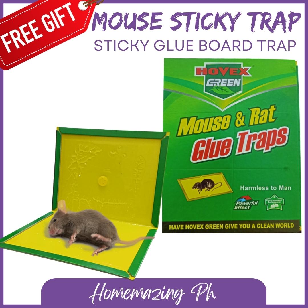 Homemazing Ph Hovex Green Non-toxic Mouse and Rats Glue Traps Rat Trap ...