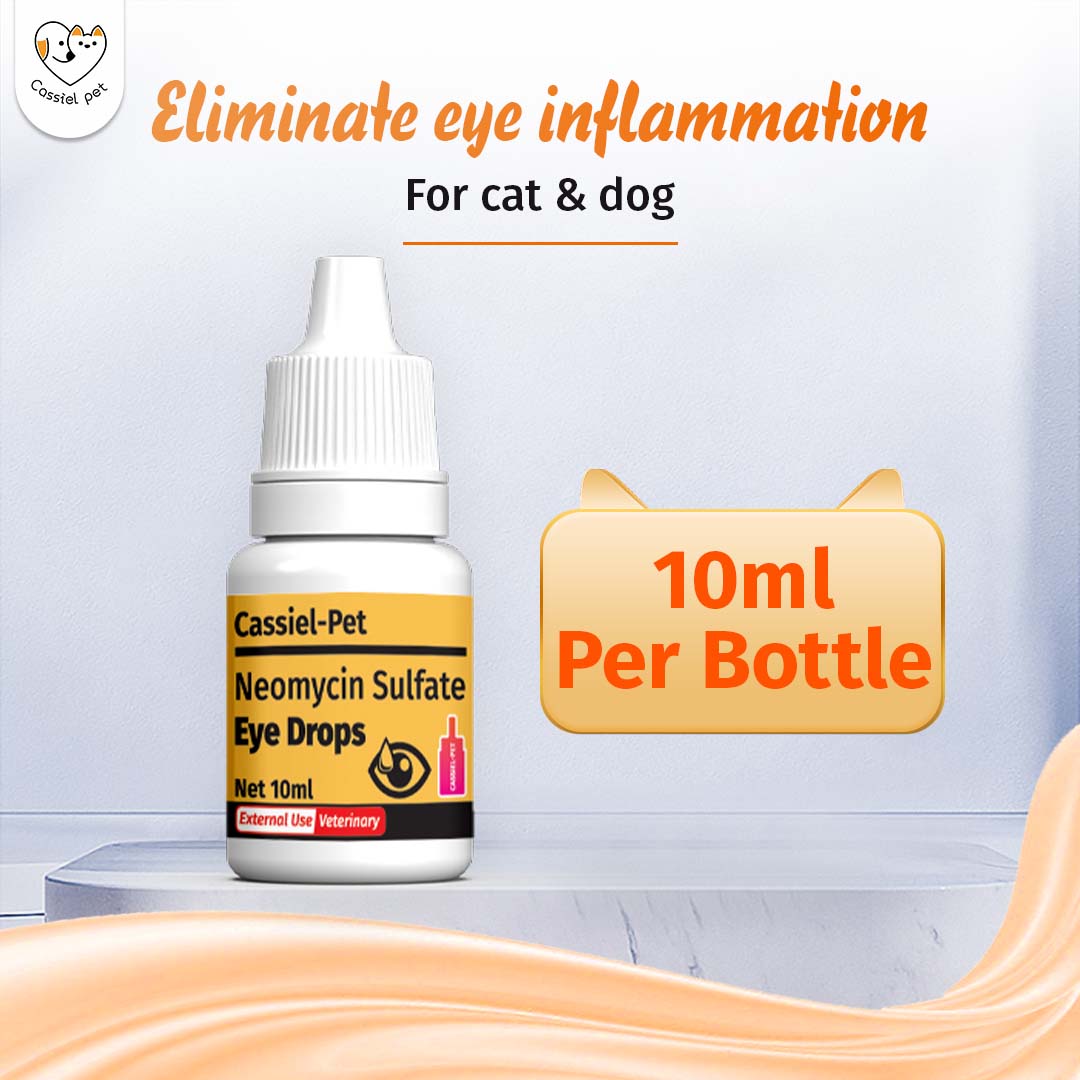 10 ml Eye Drops for Pet Cat Dogs Eye Infection Opthalmic veterinary
