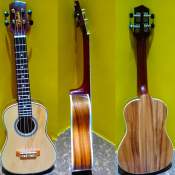 Rosewood Ukulele Concert type