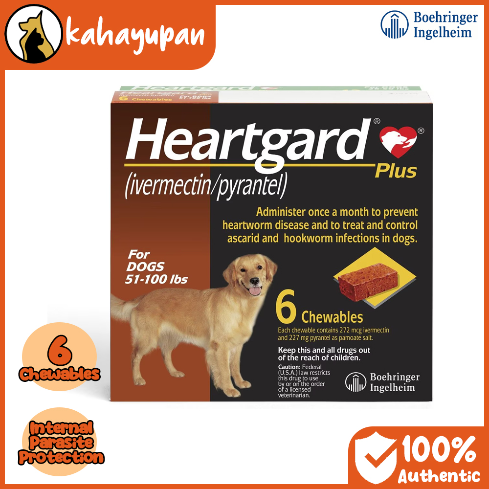 Heartgard Plus Cost Of Heartworm Prevention For Dogs Heartgard