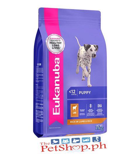 golden retriever x husky for sale