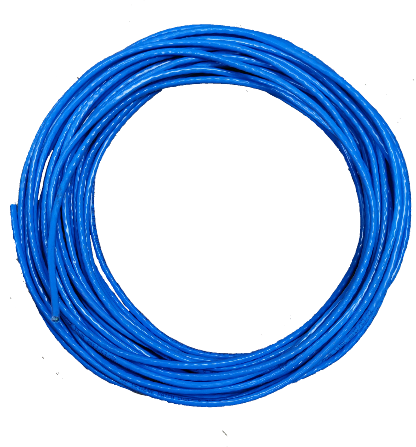 CAT 6 UTP Cable Cut Size, CAT6 Pre Cut Size Wires ( AMP) Lazada PH