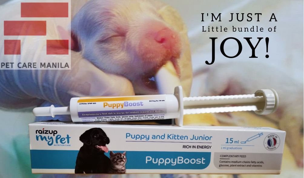 PUPPYBOOST for Newborn Puppies and Kittens, 15ml (EnergyRich Puppy