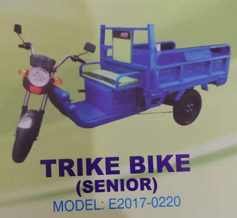 bicycle trikes for sale