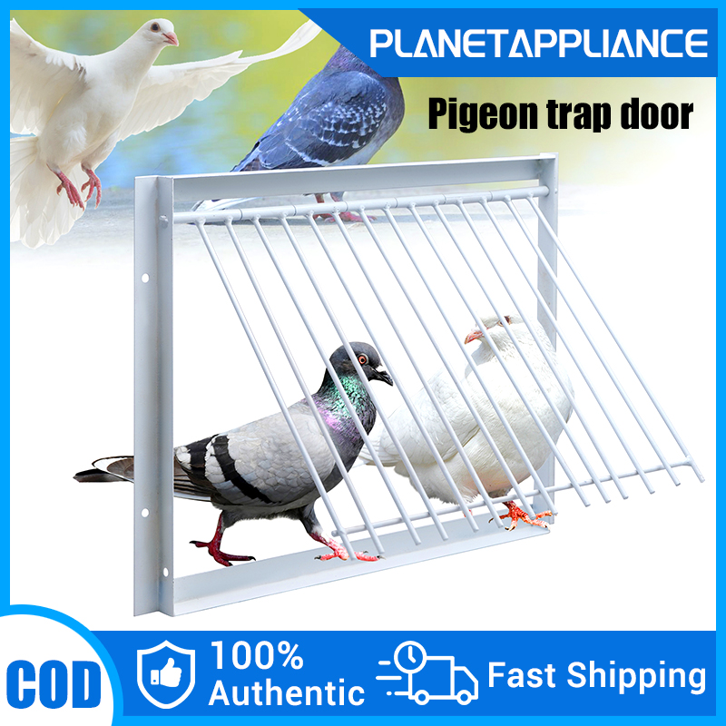Pigeon Loft Door Pigeon Entrance Door Trap Door Pigeon House Door Racing  Supplies Pet Bird Supply Product Bird cage Door (30cm/12in)