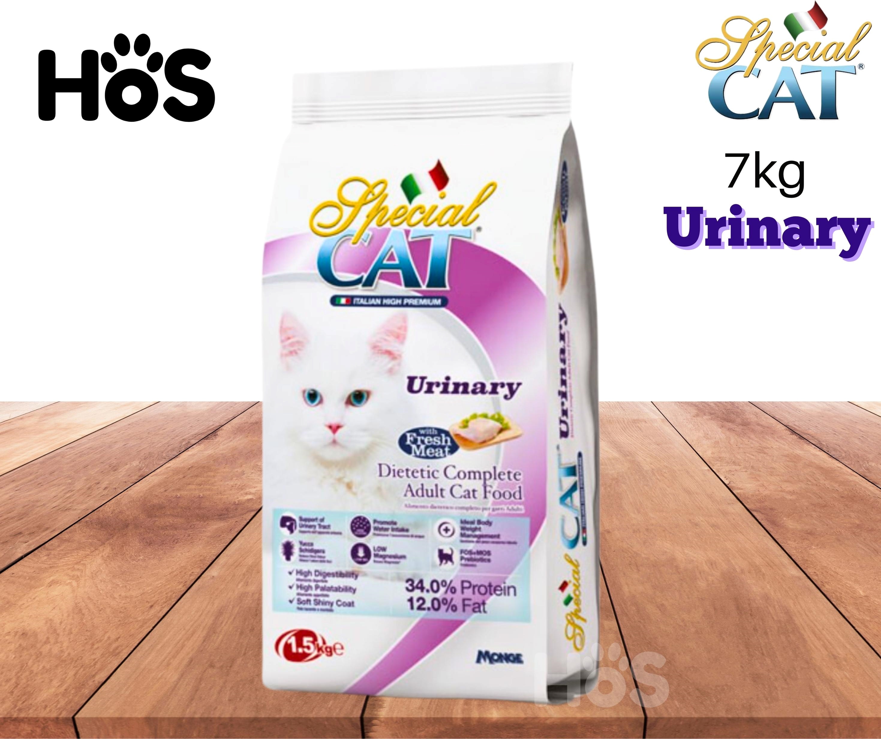 Special cat food 2024 for urinary problems