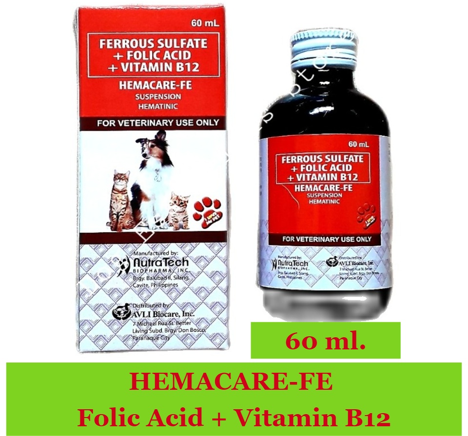 dog folic acid