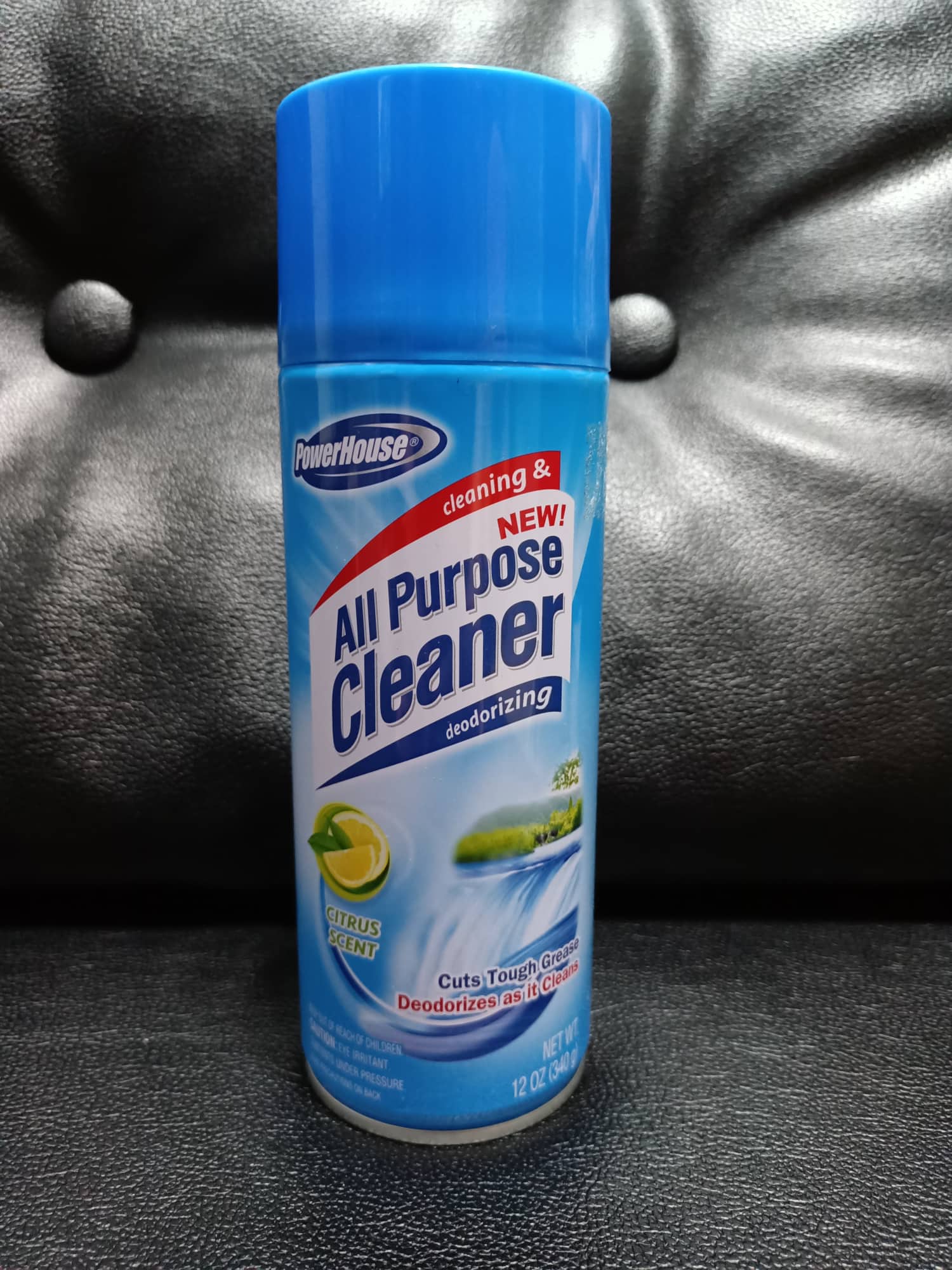 PowerHouse All Purpose Cleaner (340g) Lazada PH