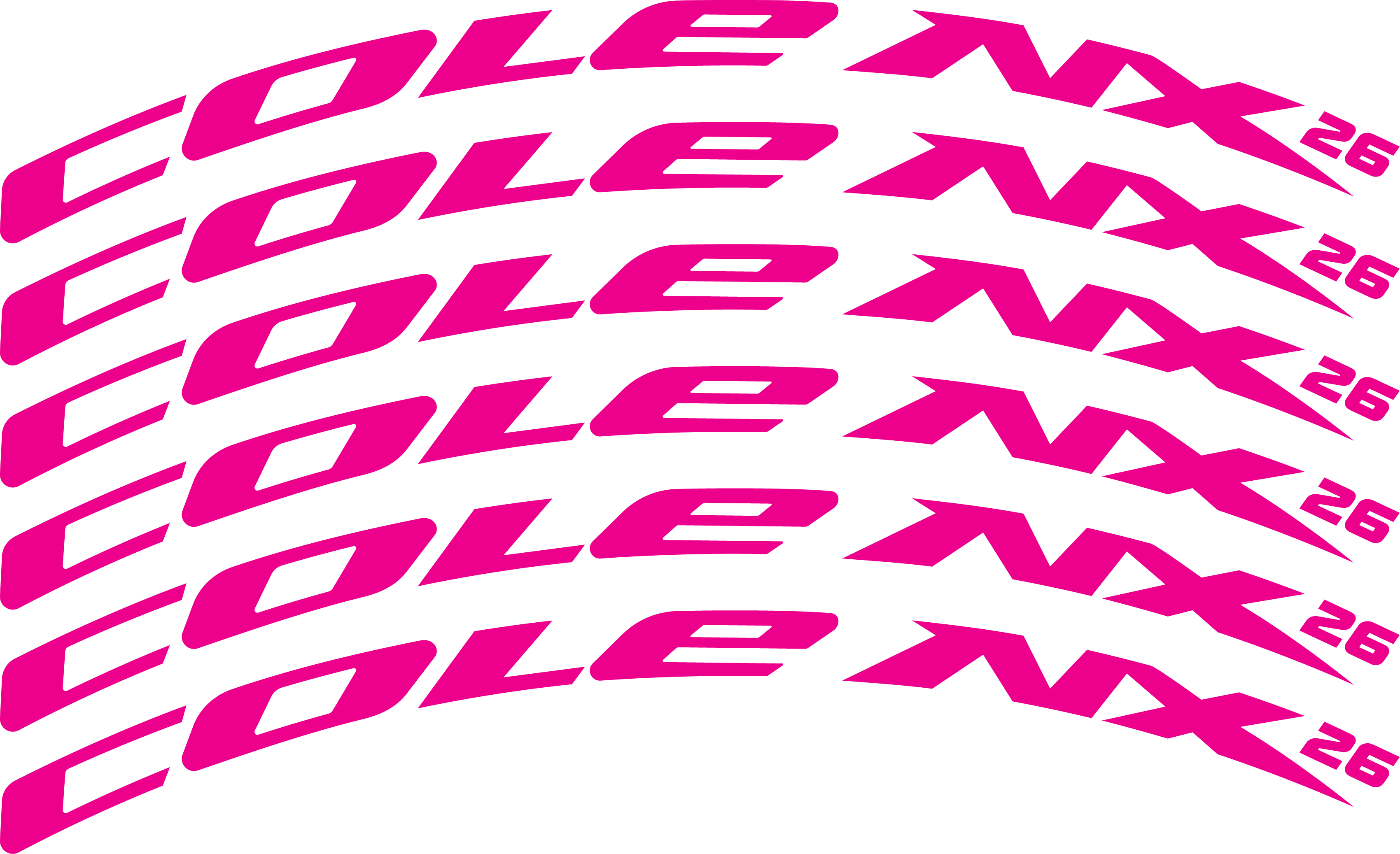 Cole NX Bike Rim Decals 13 pcs Lazada PH