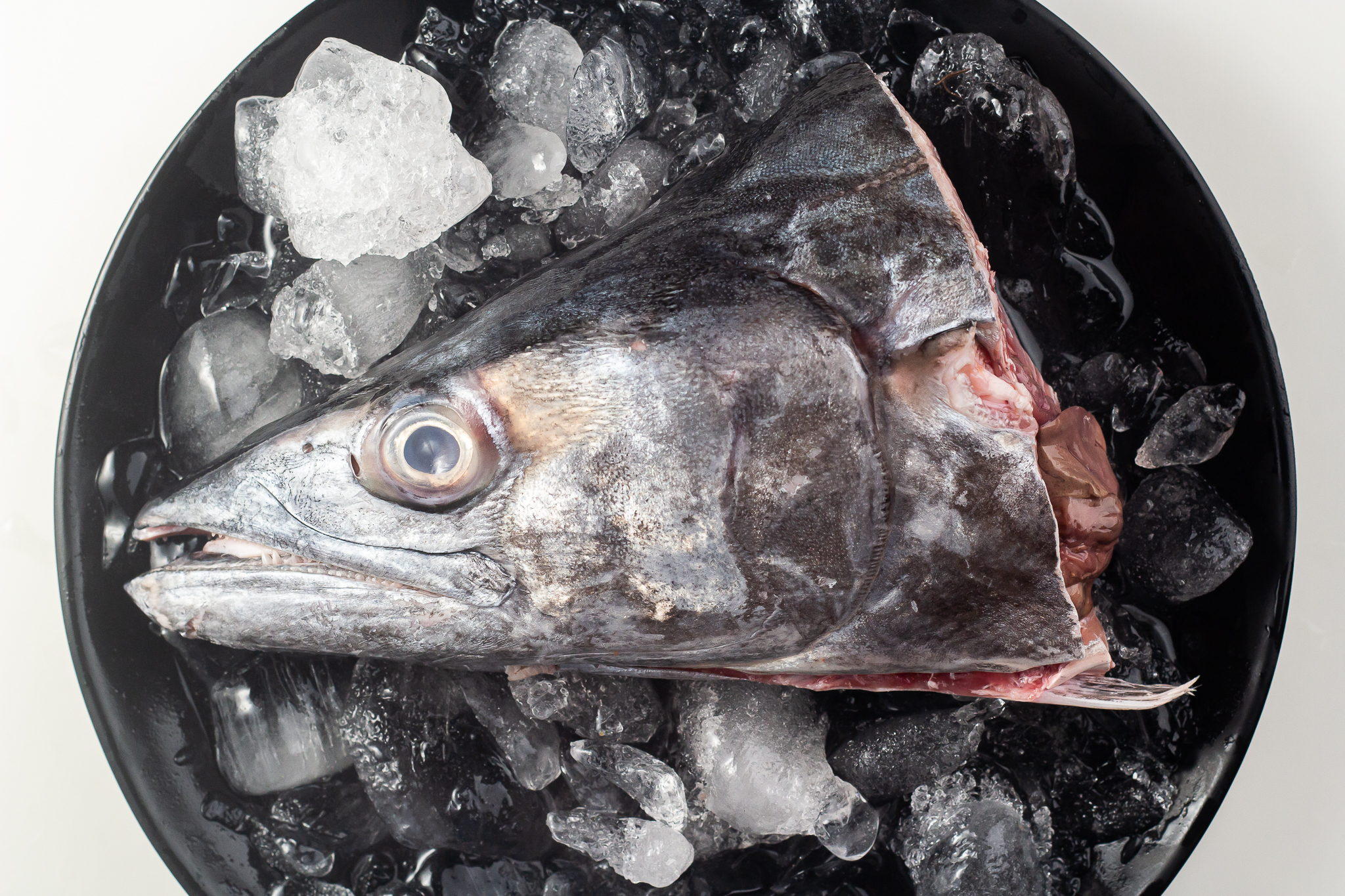 Deligood Tanigue Head 1kg Lazada Ph