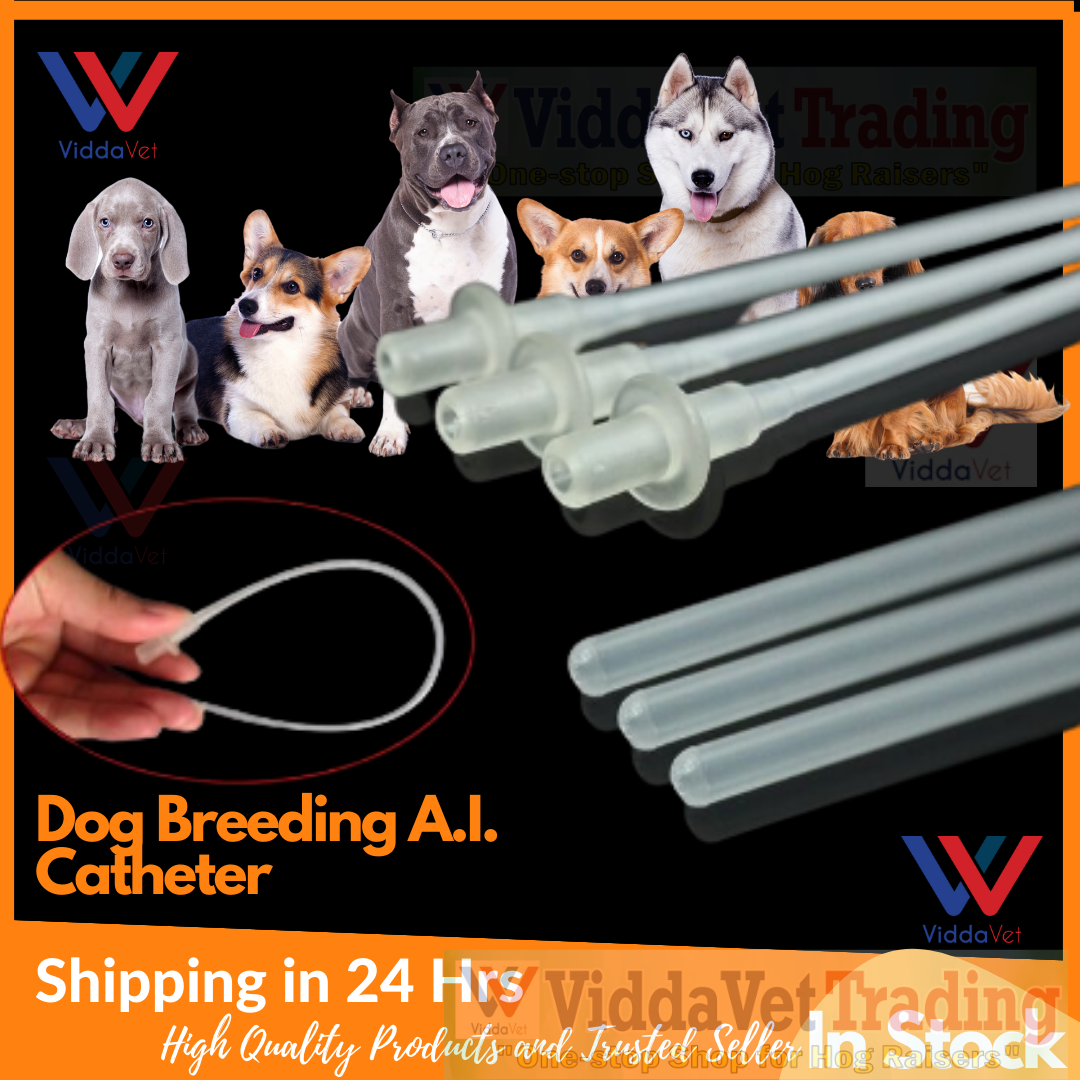 10 pcs Artificial Insemination Rods Catheter for Dog Goat Insemination