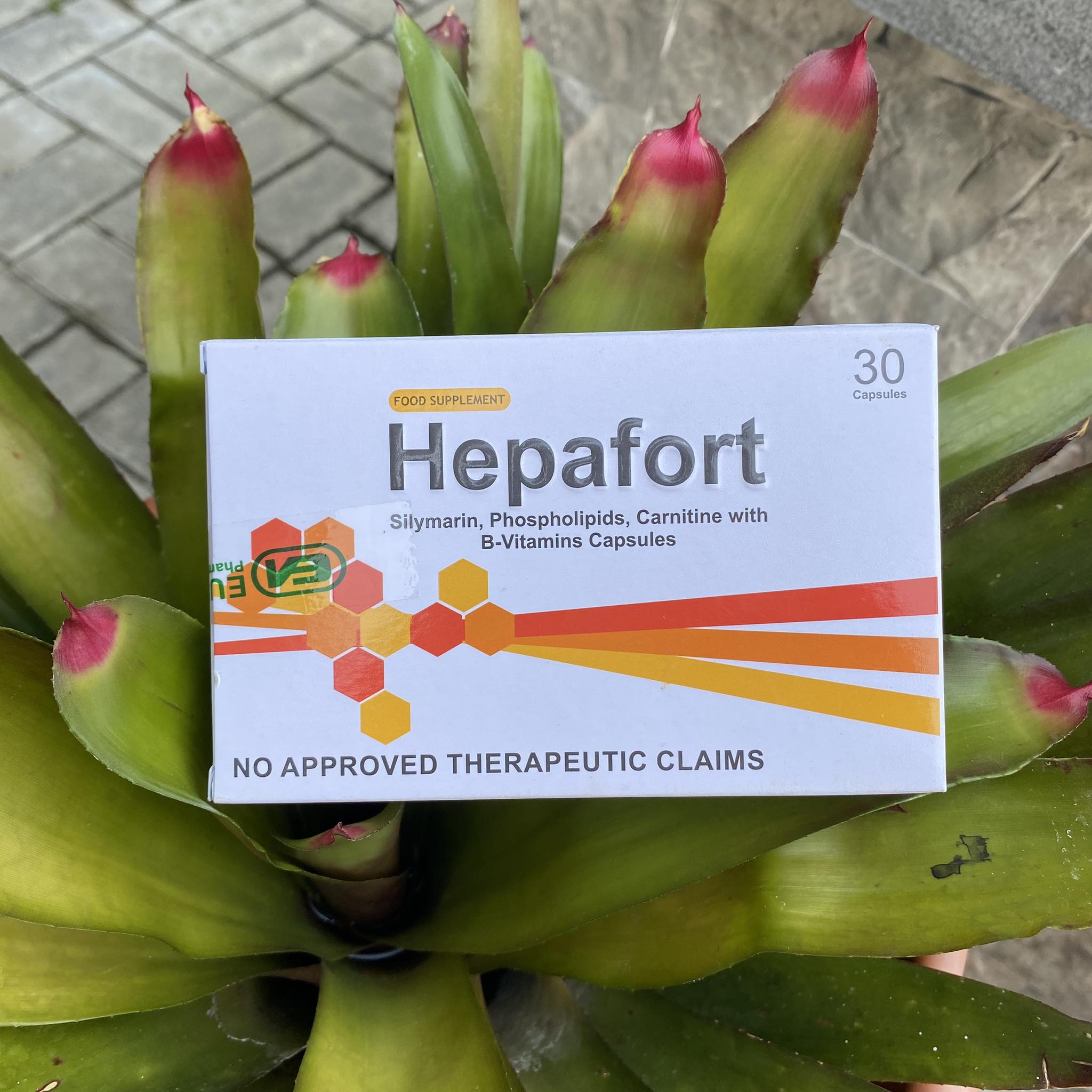 HEPAFORT Silymarin, Phospholipids, Carnitine with BVitamins Capsules
