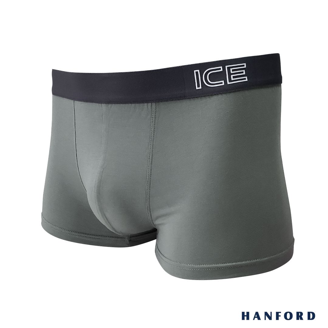 Hanford iCE Men Viscose w/ Spandex Boxer Briefs Dusty03 - Sedona Sage  (Single Pack)