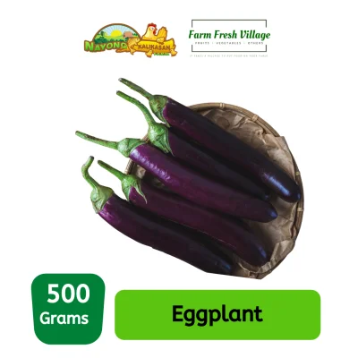 FARM FRESH VILLAGE - Eggplant 500 grams