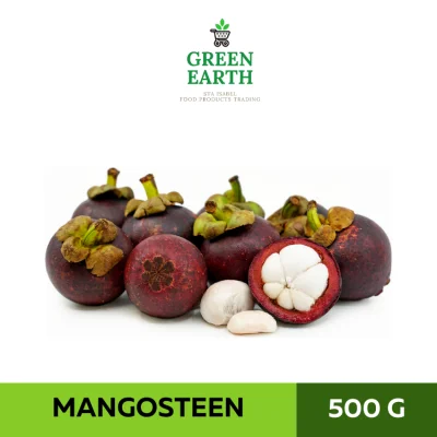 GREEN EARTH - FRESH MANGOSTEEN - 500g