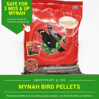 bird food shop near me