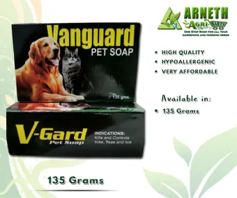 cheap pet accessories online